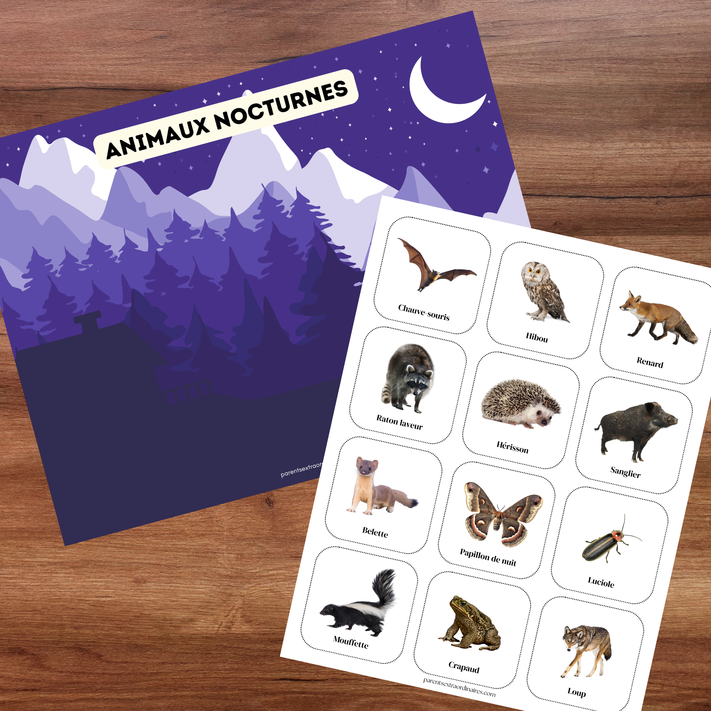 Activité de sciences pour découvrir les animaux diurnes et nocturnes avec les enfants.