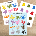 Jeu éducatif sur les couleurs permettant aux enfants d’âge préscolaire de découvrir et d’identifier les couleurs grâce à des activités variées, des affiches illustrées, des cartes de vocabulaire, des exercices de manipulation et des coloriages amusants.