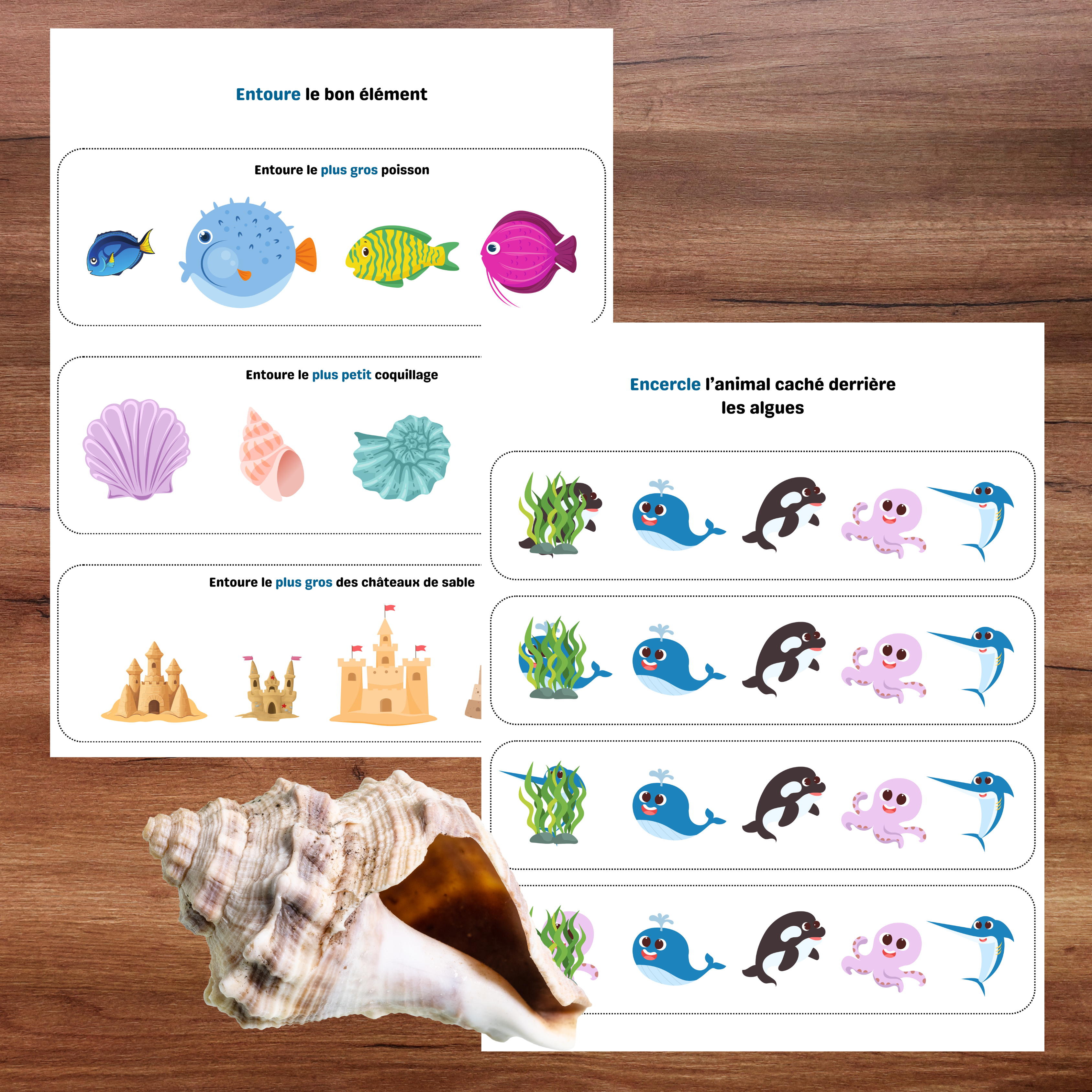 Jeux éducatifs préscolaires permettant d’apprendre en explorant l’univers de la plage.