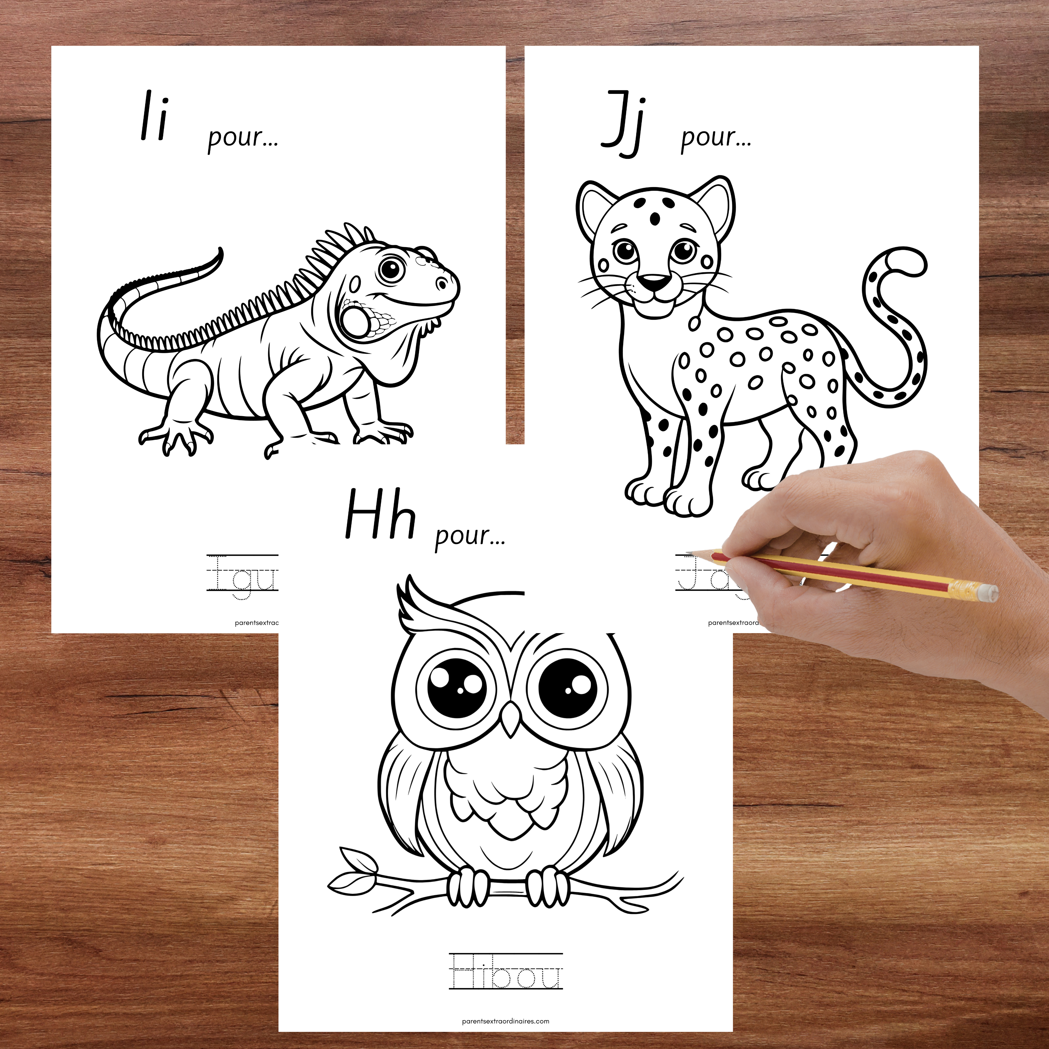Ressource éducative composée de bannières décoratives et de coloriages de l’alphabet permettant aux enfants d’apprendre les lettres de façon ludique. Les illustrations associées à chaque lettre facilitent la mémorisation, la reconnaissance visuelle et le développement des habiletés en littératie tout en stimulant la créativité.