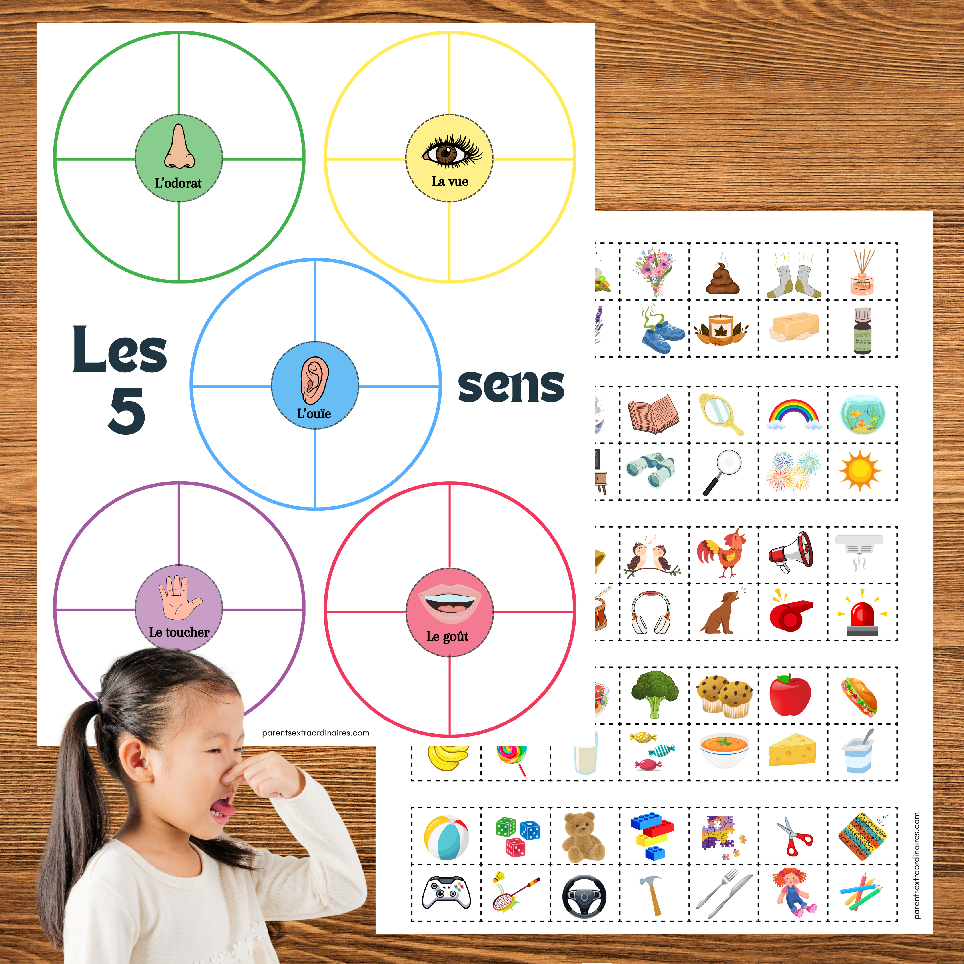 Faites découvrir les 5 sens à vos enfants grâce à une activité amusante et éducative ! Une ressource parfaite pour le préscolaire et la maternelle qui développe l’observation, le vocabulaire et la compréhension du corps humain tout en s’amusant.