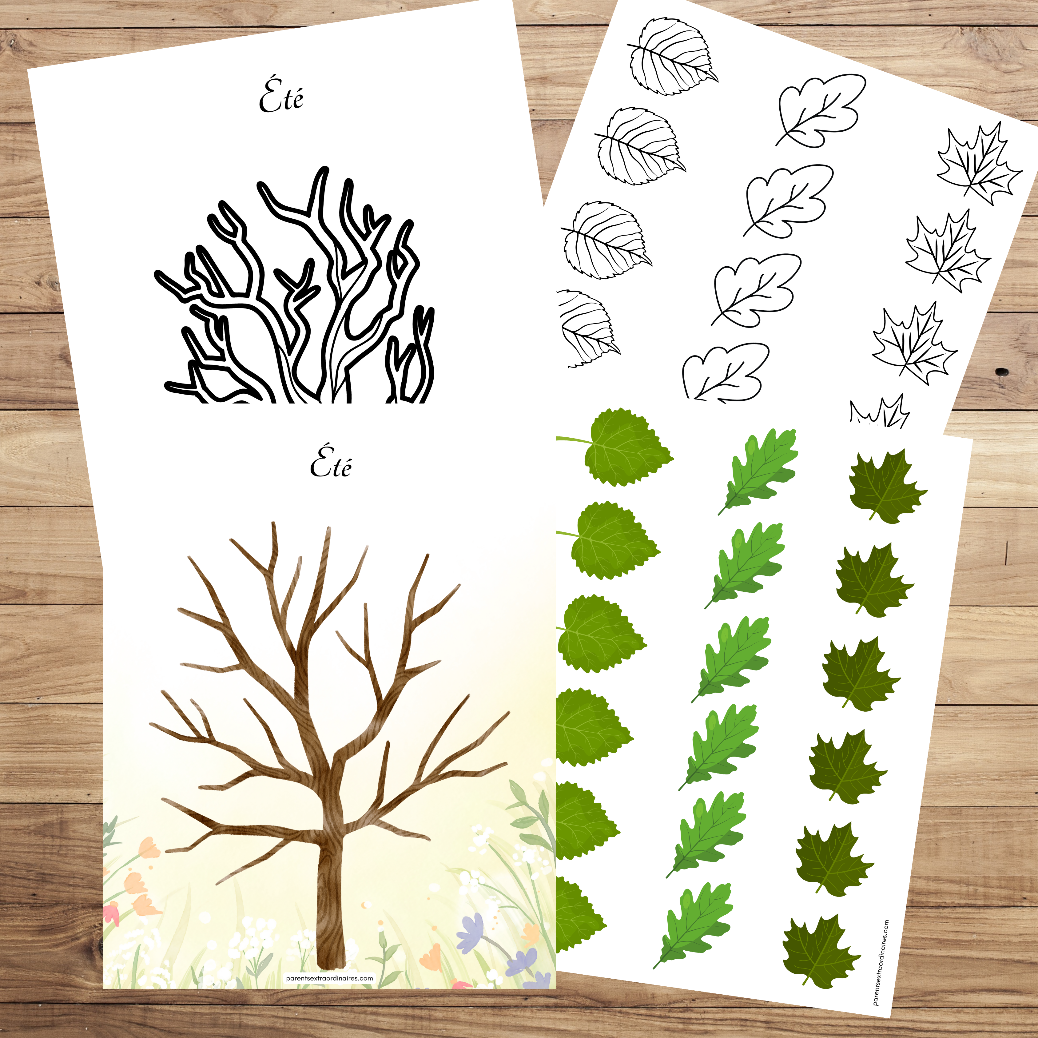Découvrez l’arbre des saisons ! Une activité de bricolage et de coloriage amusante qui aide les enfants à comprendre les changements de la nature tout au long de l’année. Parfaite pour le préscolaire, la maternelle, la garderie ou la maison