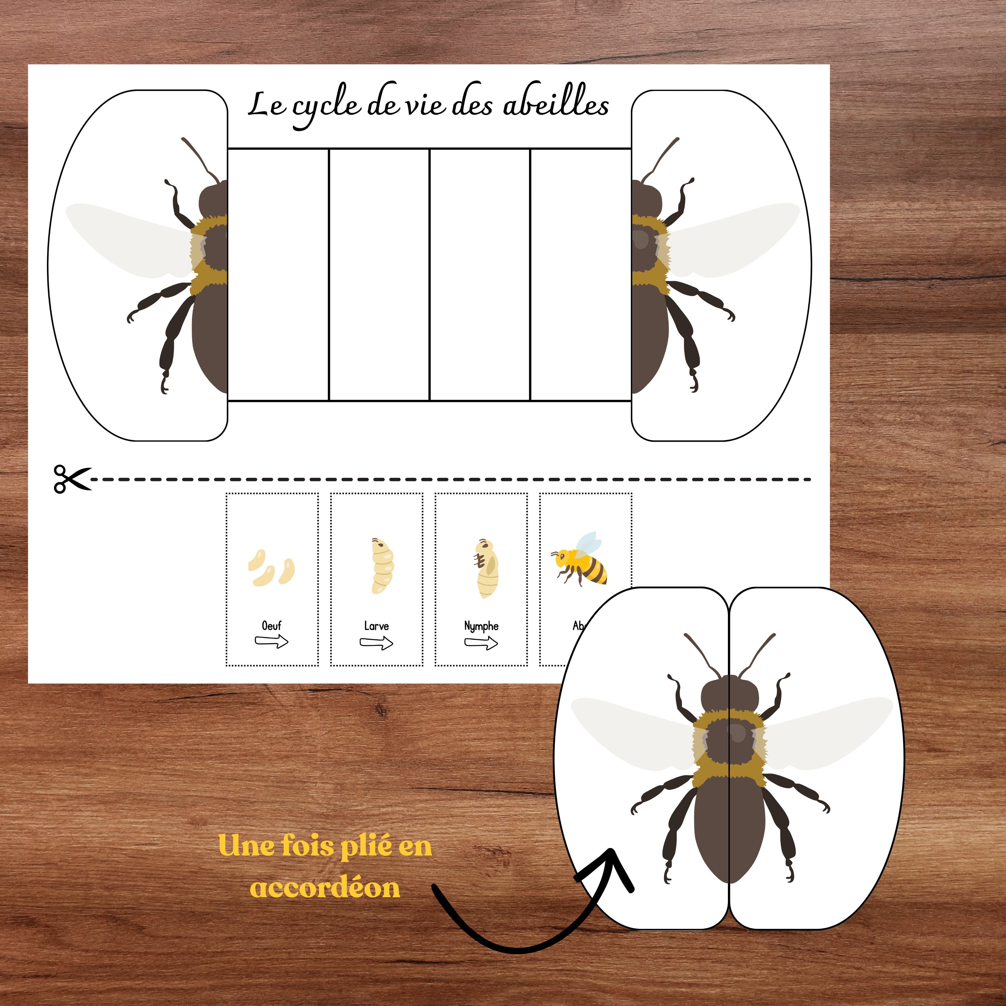 Activité de découpage et collage sur le thème des abeilles favorisant la motricité fine et la précision des gestes.