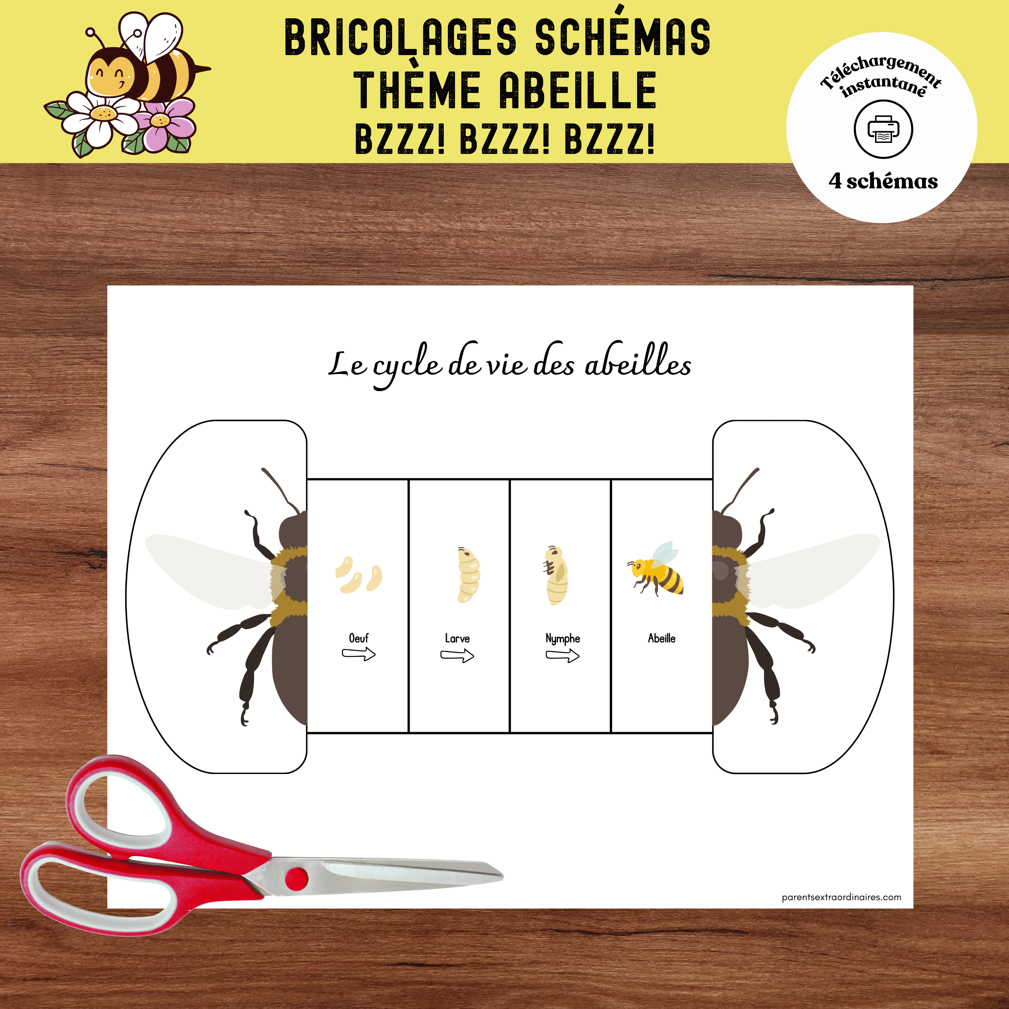 Bricolage éducatif sur le thème des abeilles où les enfants assemblent un schéma pliable pour découvrir le parcours de l’abeille jusqu’au miel.