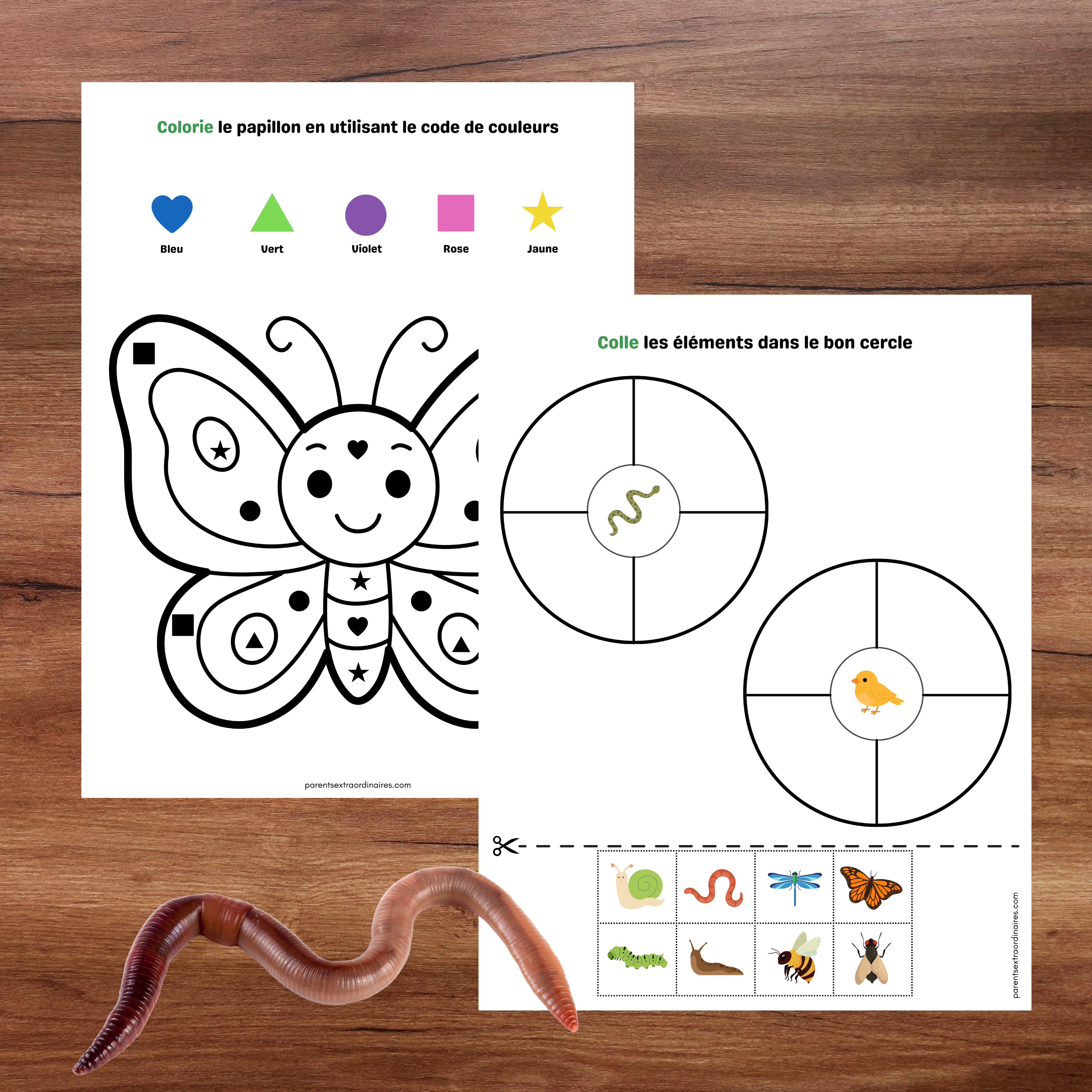 Cahier d’activités thème printemps 2 à 5 ans à imprimer pour enfants du préscolaire et de la maternelle.