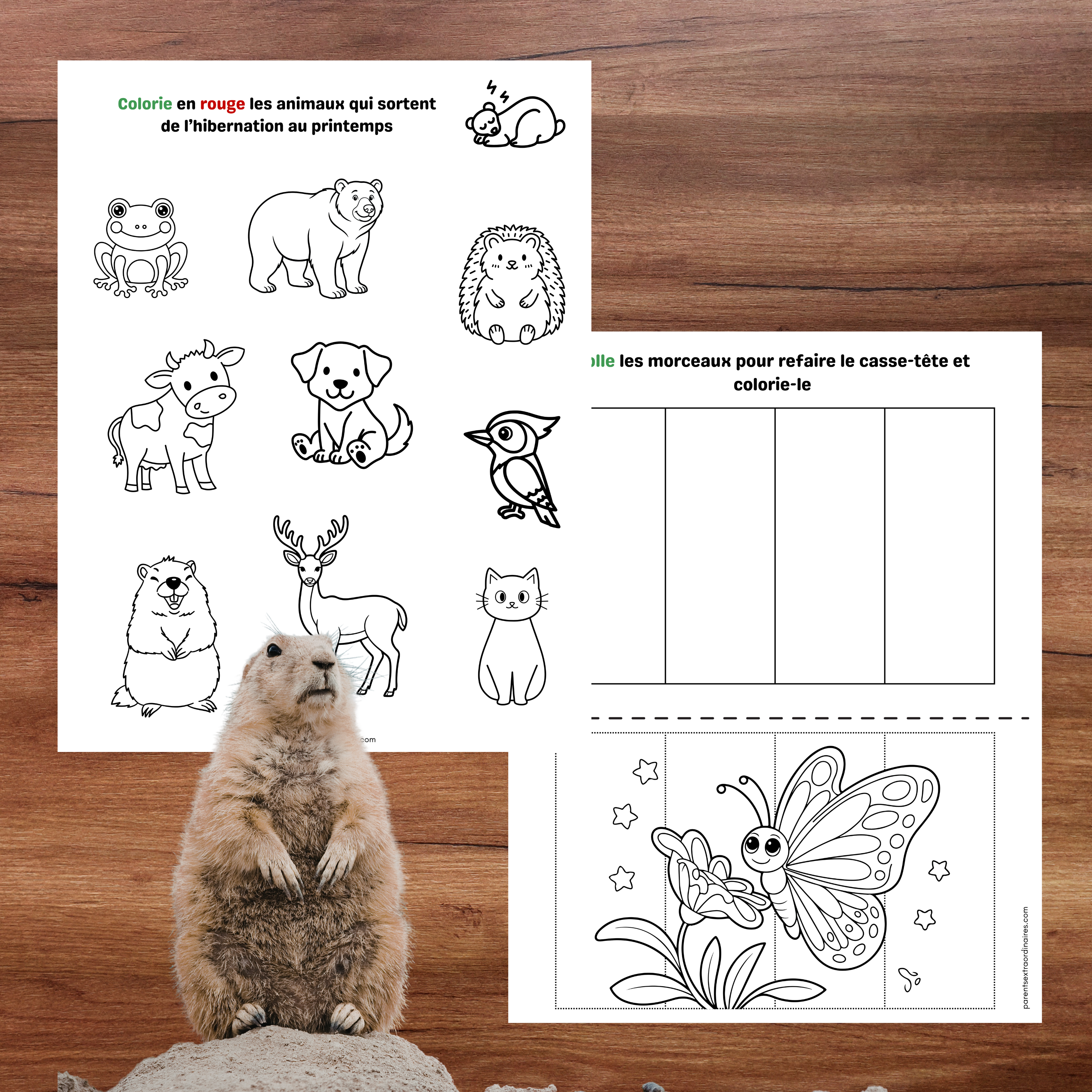 Cahier d’activités thème printemps 2 à 5 ans à imprimer pour enfants du préscolaire et de la maternelle.
