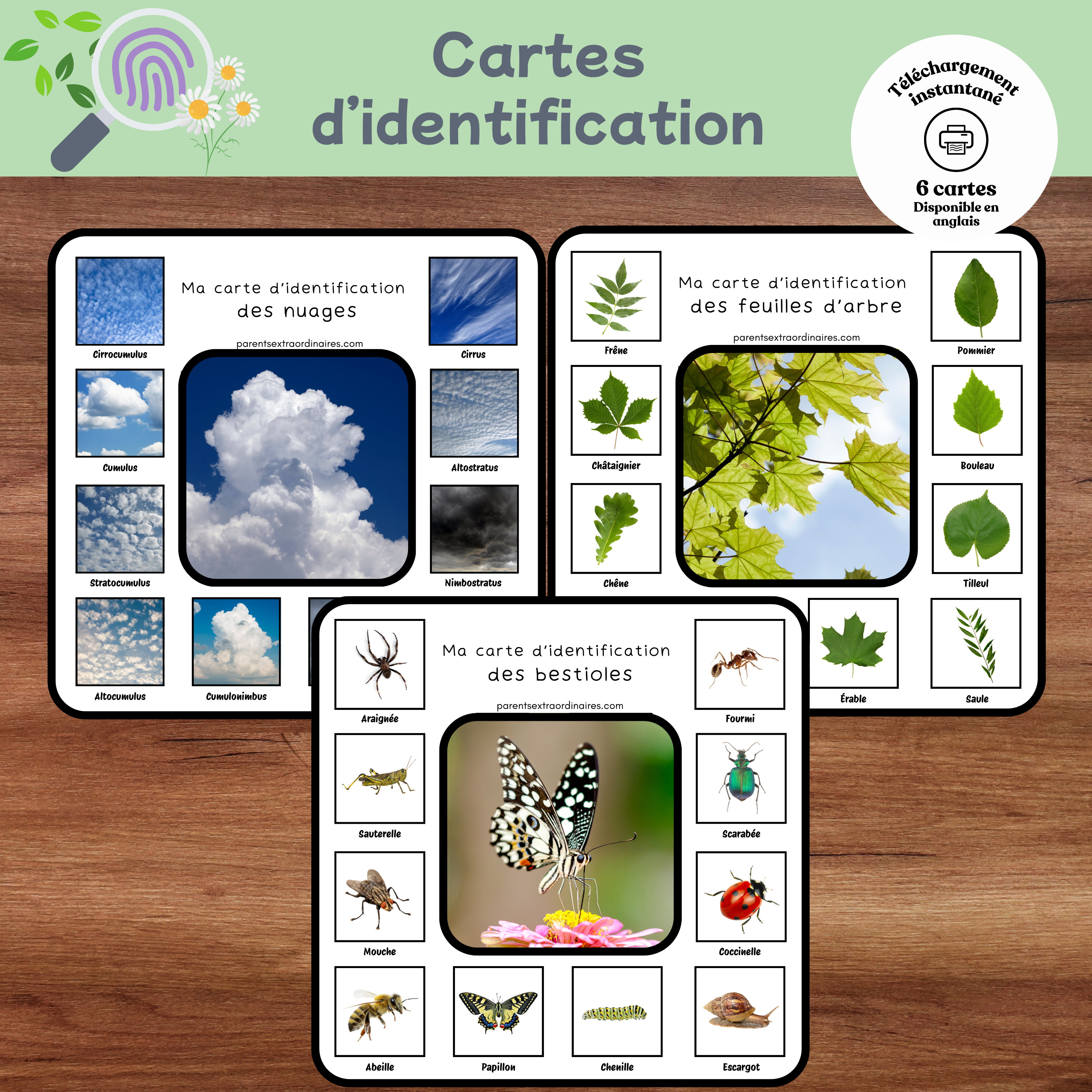 Ensemble de 6 cartes d’identification de la nature à imprimer permettant aux enfants de reconnaître différents éléments naturels lors d’explorations. Une activité éducative qui développe l’observation, le vocabulaire, la curiosité et la découverte du monde.