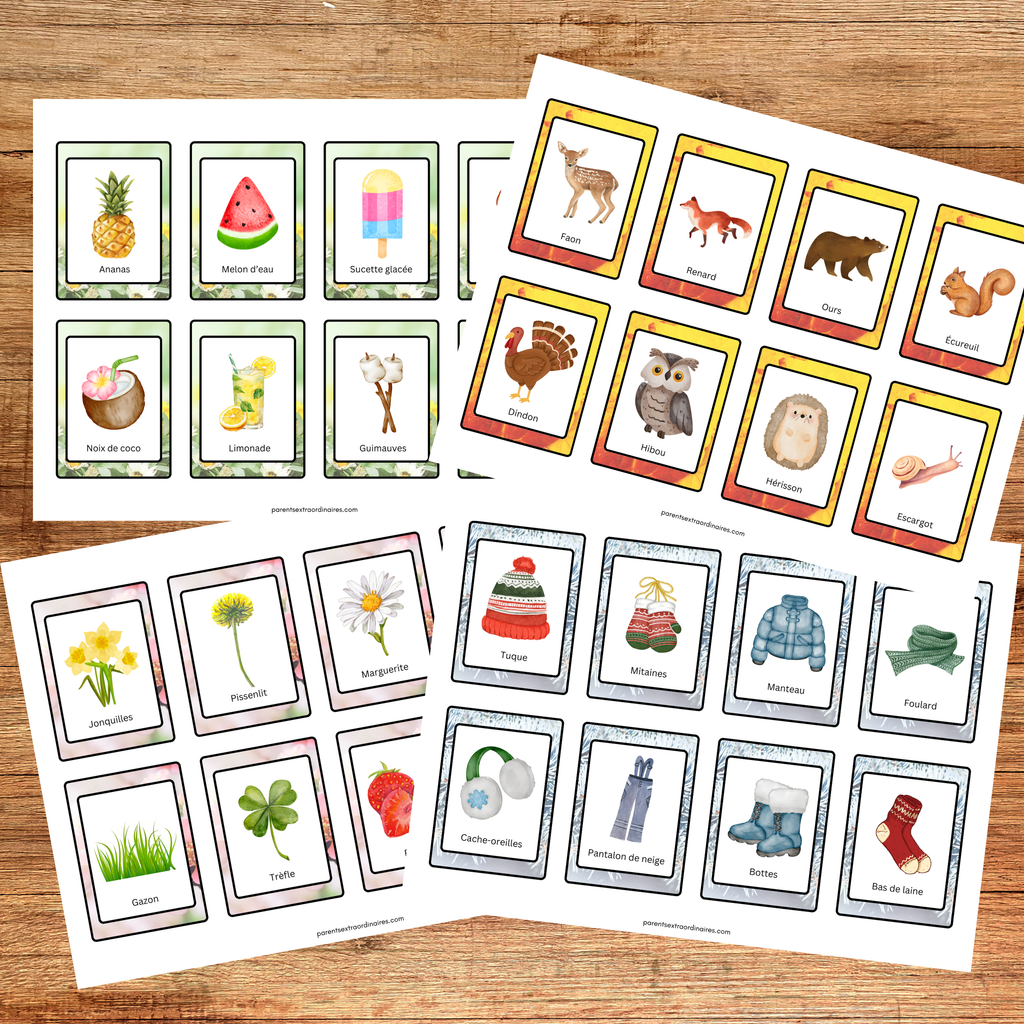 Cartes de nomenclature des saisons à imprimer pour apprendre le vocabulaire lié au printemps, à l'été, à l'automne et à l'hiver au préscolaire et à la maternelle.