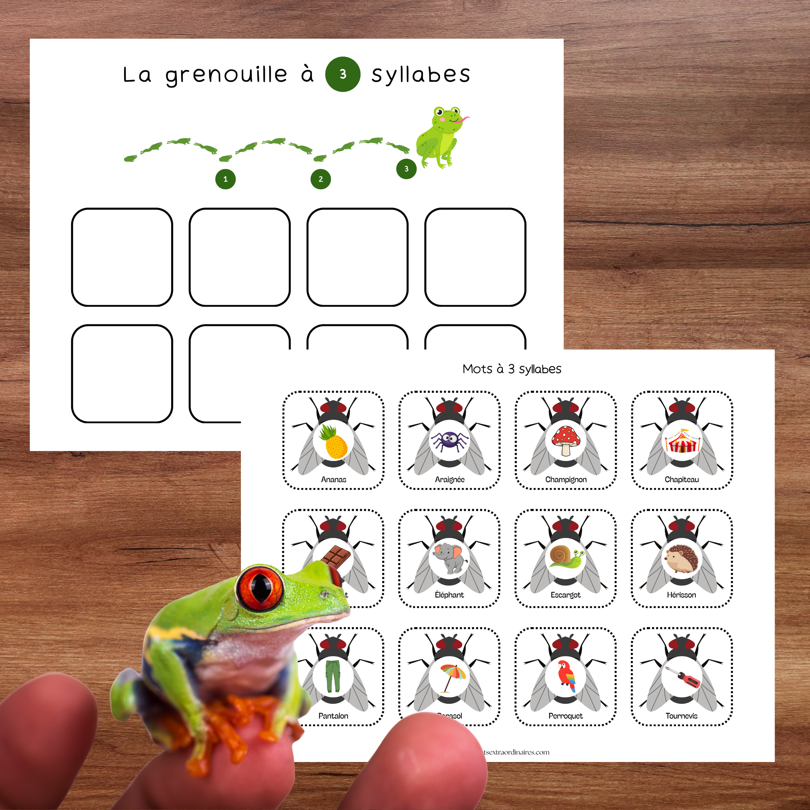 Jeu éducatif permettant de reconnaître les mots de une, deux ou trois syllabes.