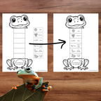 Bricolage éducatif illustrant les différentes étapes du cycle de vie de la grenouille.