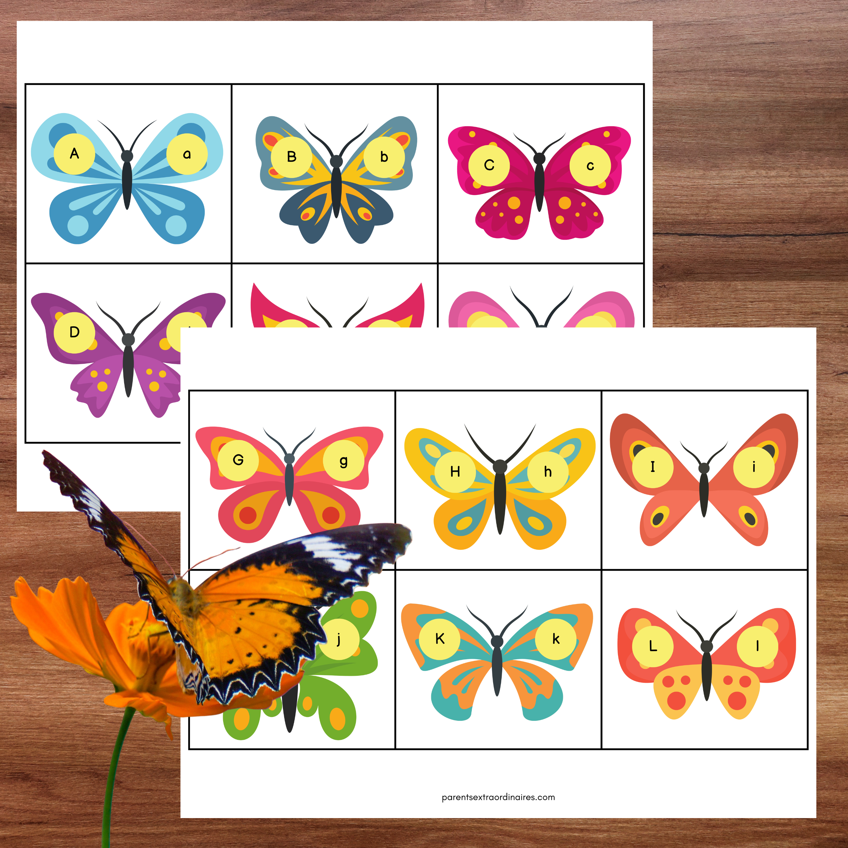 Jeu d’association où l’enfant place les papillons sur les fleurs correspondant aux lettres de l’alphabet.