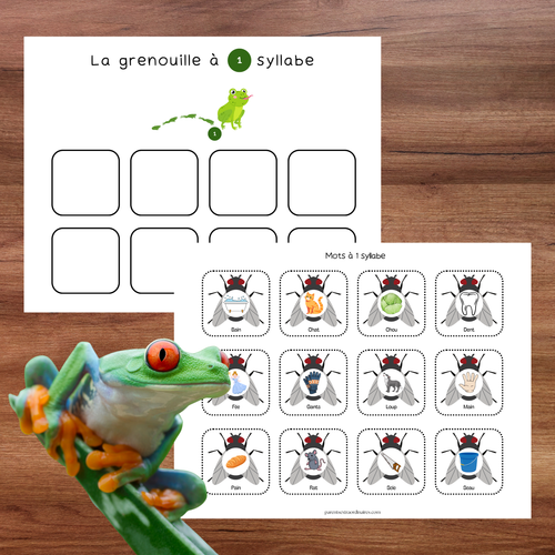 Activité éducative où l’enfant classe des images selon qu’elles contiennent une, deux ou trois syllabes.