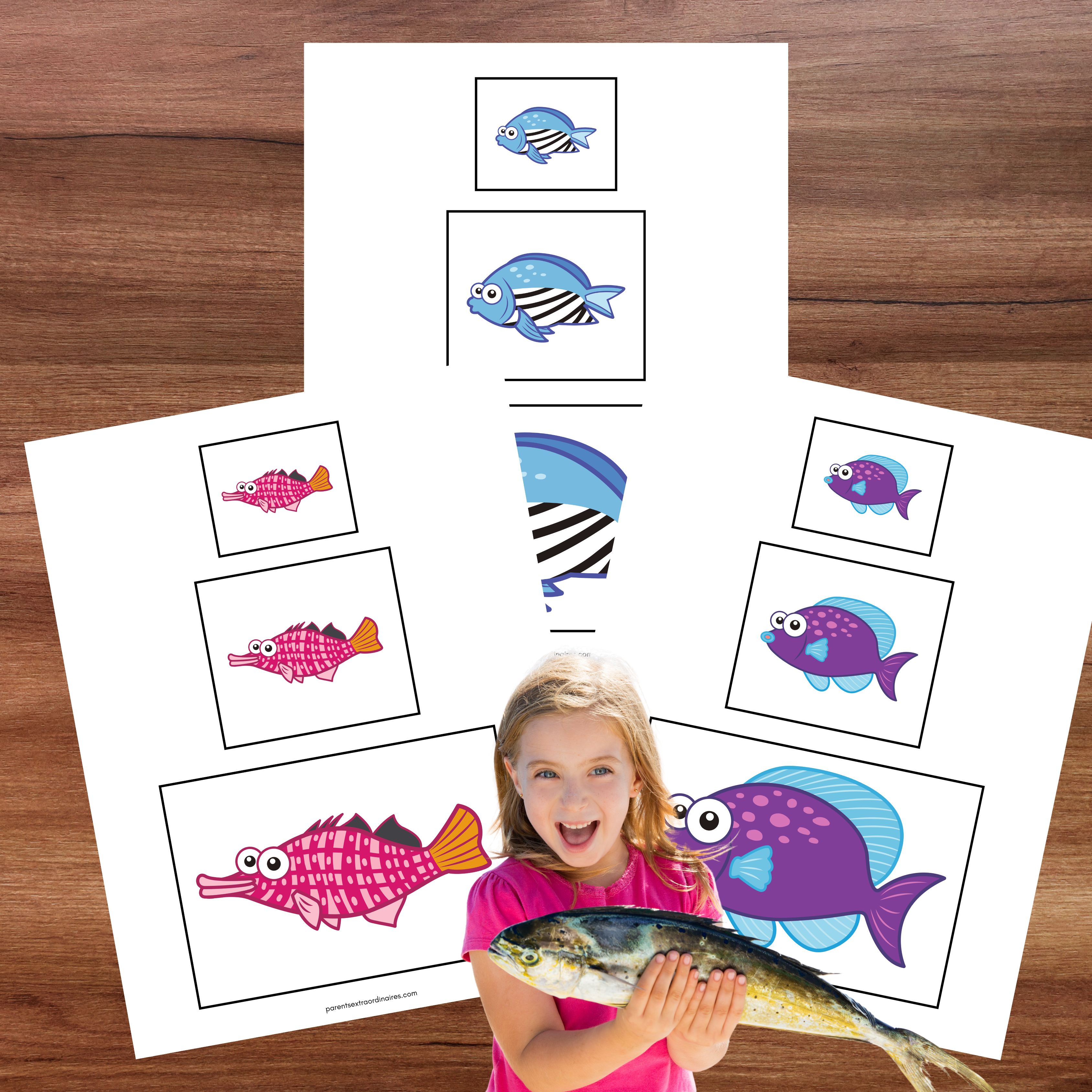 Activité préscolaire pour comparer et classer des poissons du plus petit au plus grand.