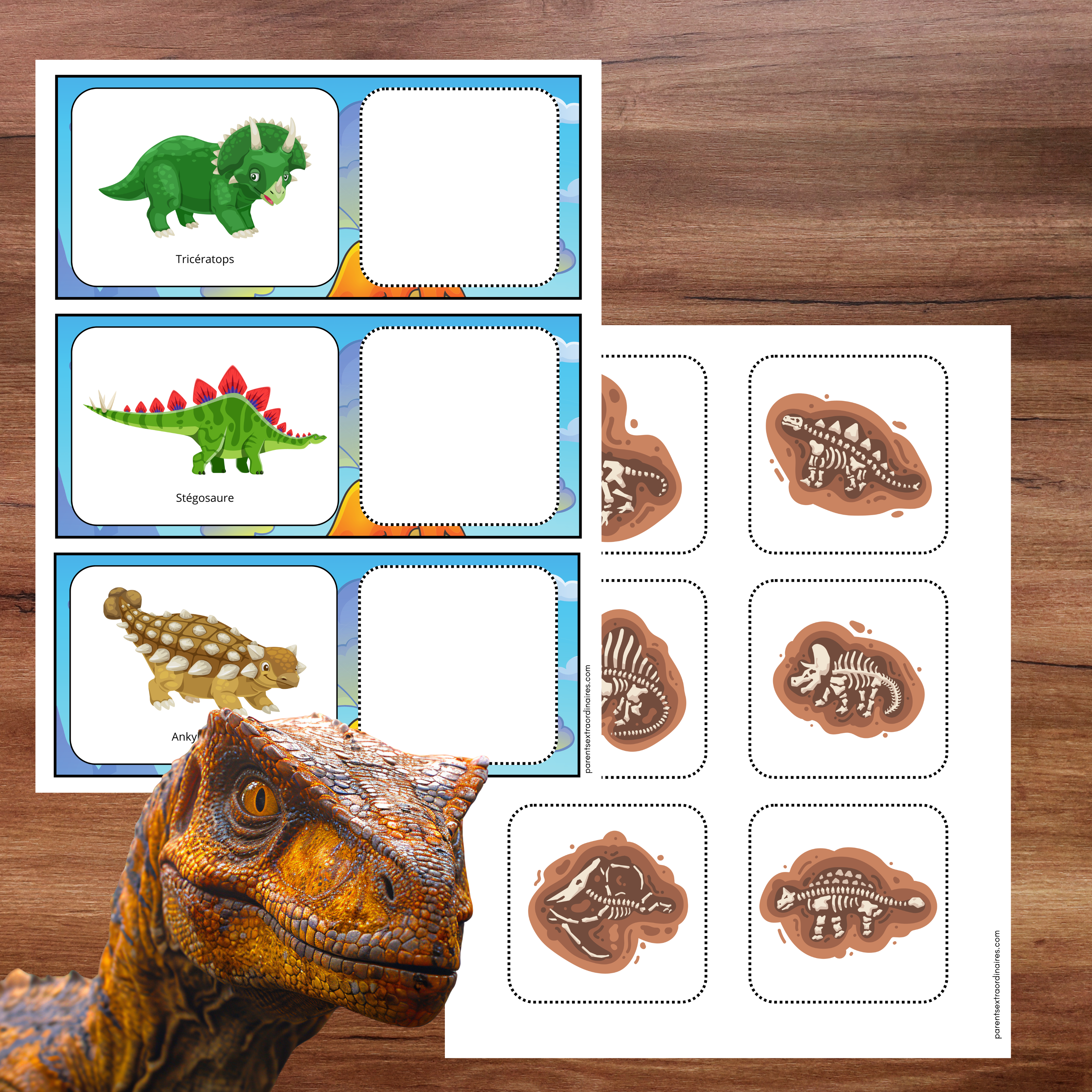 Ensemble d’activités dinosaures à imprimer pour garderie, préscolaire et maternelle.