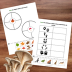 Cahier d’apprentissage avec feu de camp, tente et nature pour enfants 2 à 4 ans.