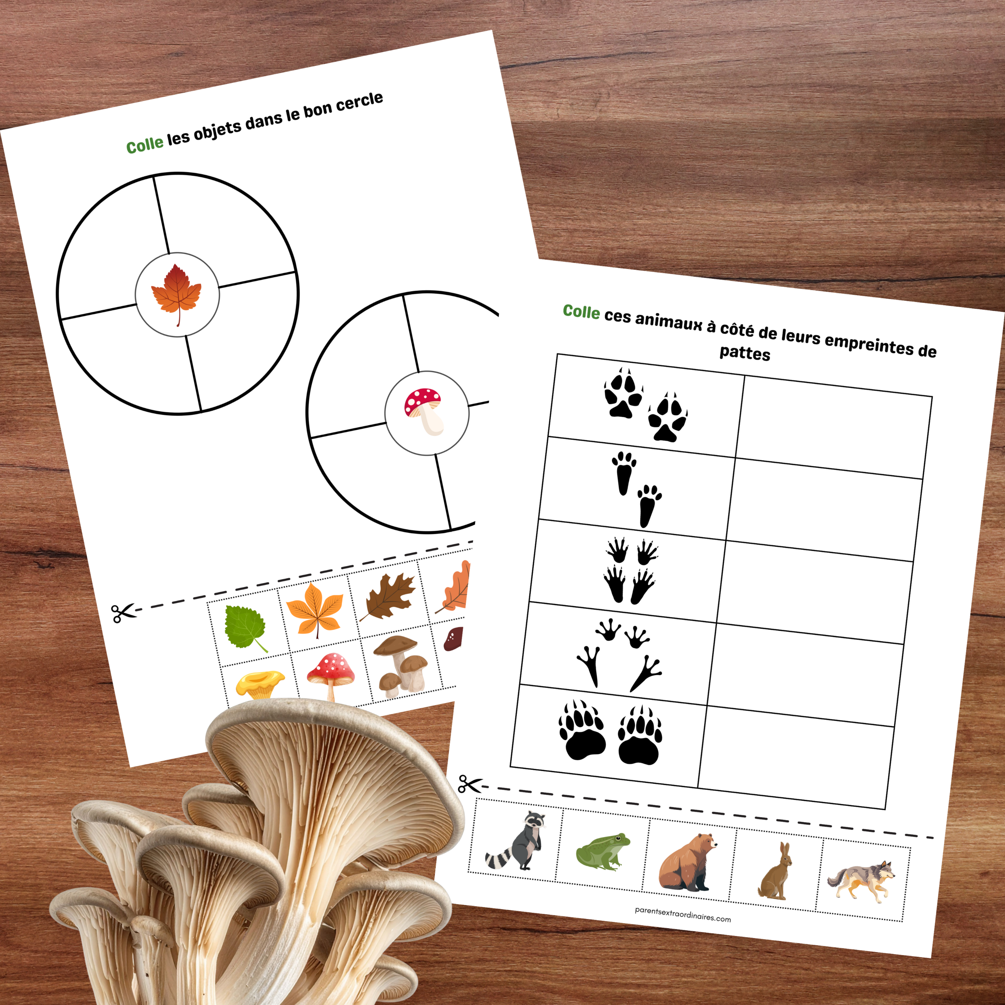 Cahier d’apprentissage avec feu de camp, tente et nature pour enfants 2 à 4 ans.