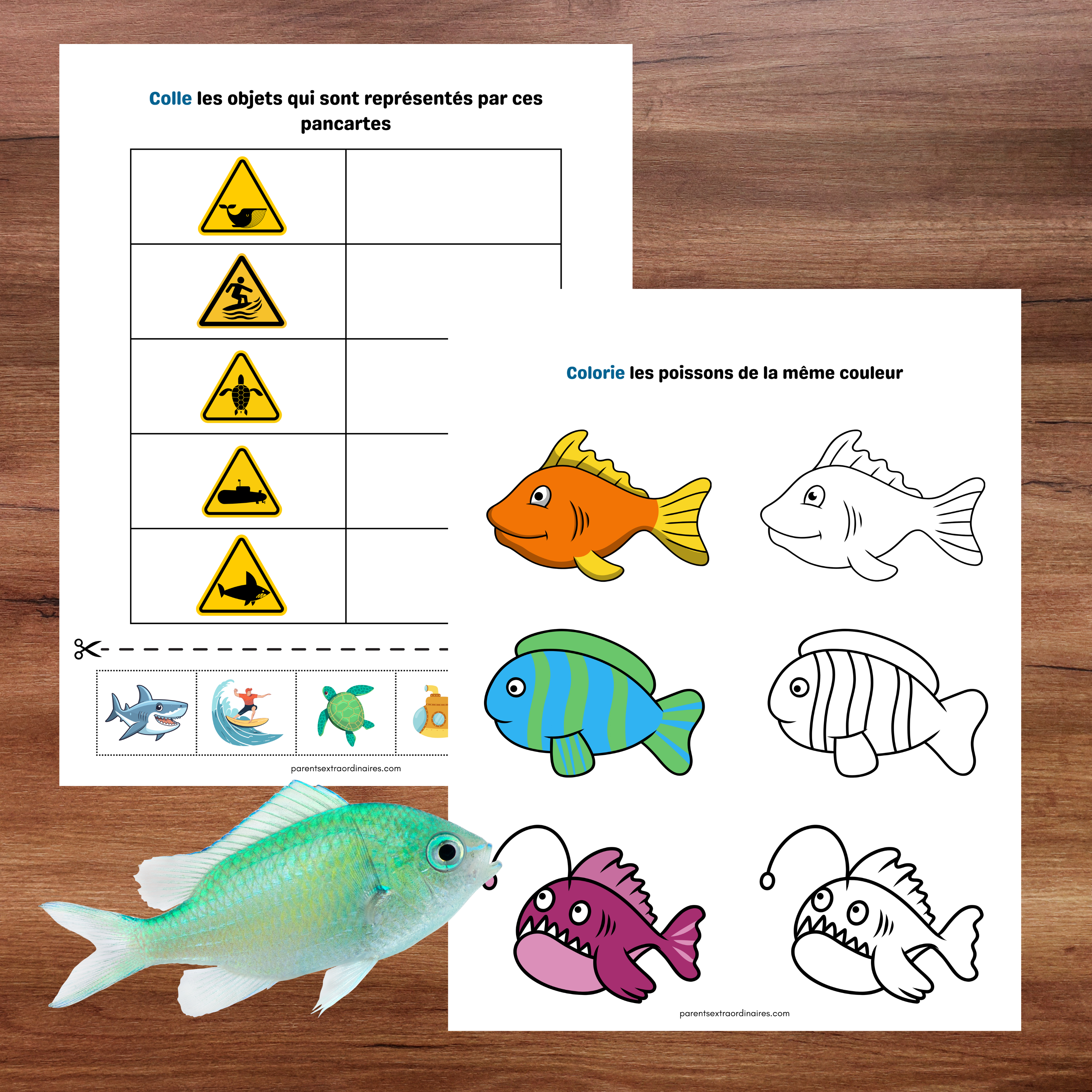 Cahier éducatif avec coquillages, sable et éléments de la plage pour jeunes enfants.
