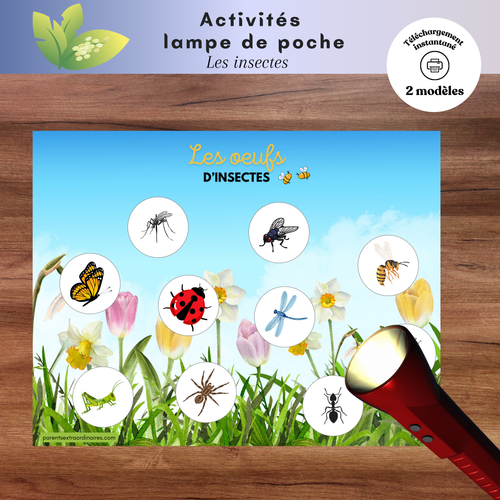 Ensemble d’activités lampe de poche magique sur les insectes à imprimer permettant aux enfants de découvrir ce qui se cache dans les œufs en utilisant une lampe de poche. Une activité ludique qui développe le vocabulaire, l’observation et la compréhension du cycle de vie des animaux.