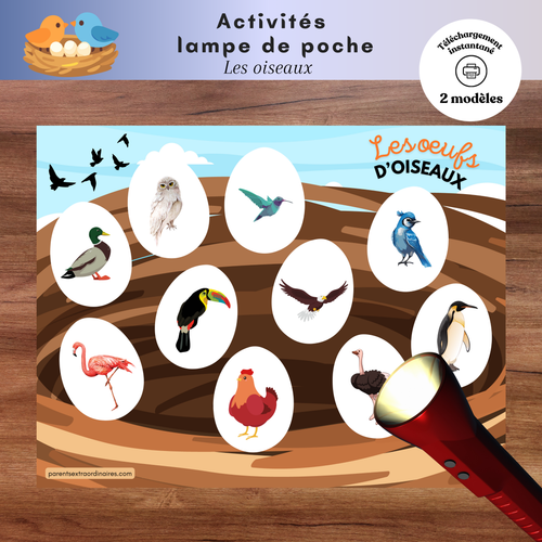 Ensemble d’activités lampe de poche magique sur les oiseaux à imprimer permettant aux enfants de découvrir ce qui se cache dans les œufs en utilisant une lampe de poche. Une activité ludique qui développe le vocabulaire, l’observation et la compréhension du cycle de vie des animaux.