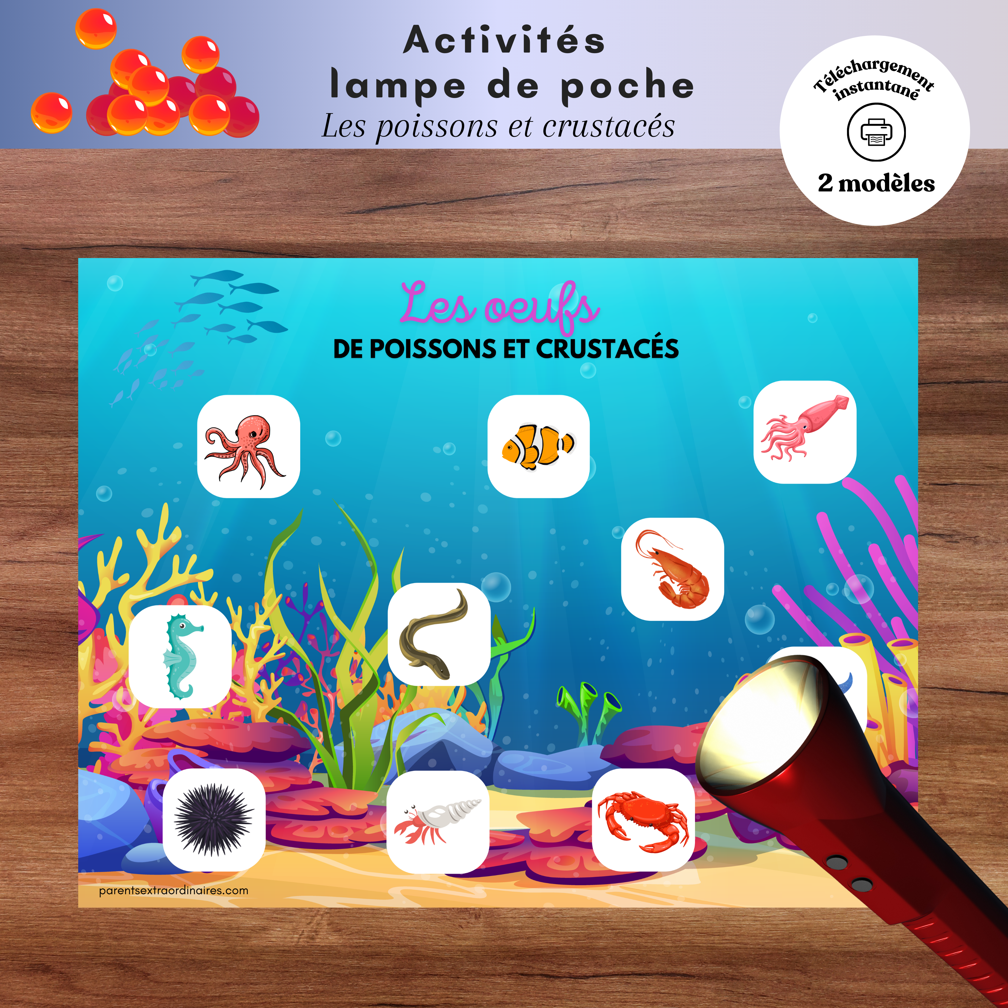 Ensemble d’activités lampe de poche magique sur les poissons à imprimer permettant aux enfants de découvrir ce qui se cache dans les œufs en utilisant une lampe de poche. Une activité ludique qui développe le vocabulaire, l’observation et la compréhension du cycle de vie des animaux.