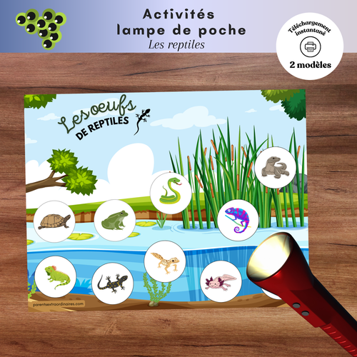 Ensemble d’activités lampe de poche magique sur les reptiles à imprimer permettant aux enfants de découvrir ce qui se cache dans les œufs en utilisant une lampe de poche. Une activité ludique qui développe le vocabulaire, l’observation et la compréhension du cycle de vie des animaux.