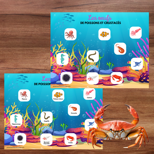 Activité éducative interactive avec des œufs mystères à éclairer pour révéler des poissons cachés. Les enfants découpent, assemblent et associent les œufs aux bonnes images tout en apprenant les animaux qui pondent des œufs, en développant leur logique et leurs habiletés d’observation.