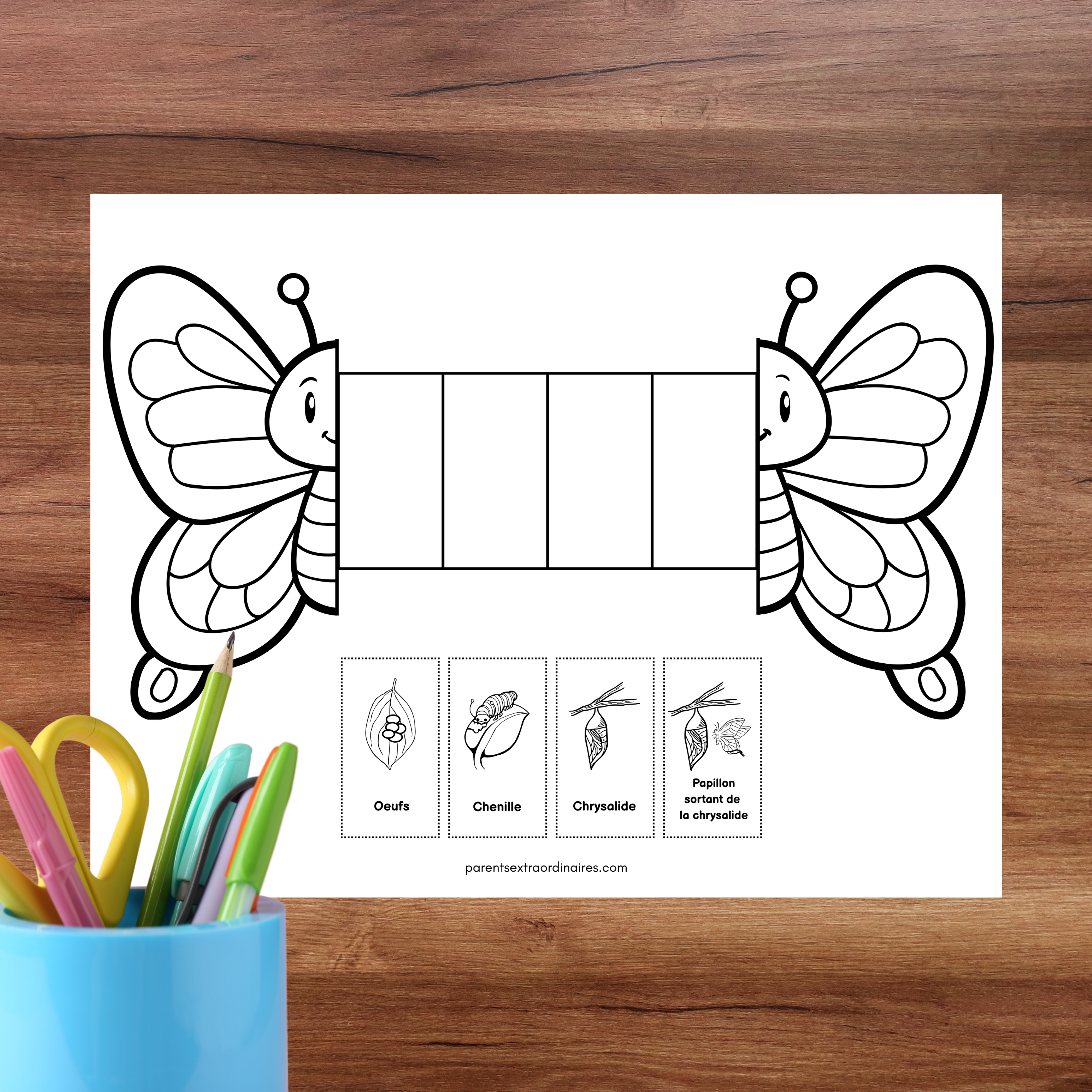 Étape de la chenille dans le cycle de vie du papillon pour activité de sciences préscolaire.