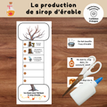 Bricolage schéma de la production du sirop d'érable à imprimer pour enfants.